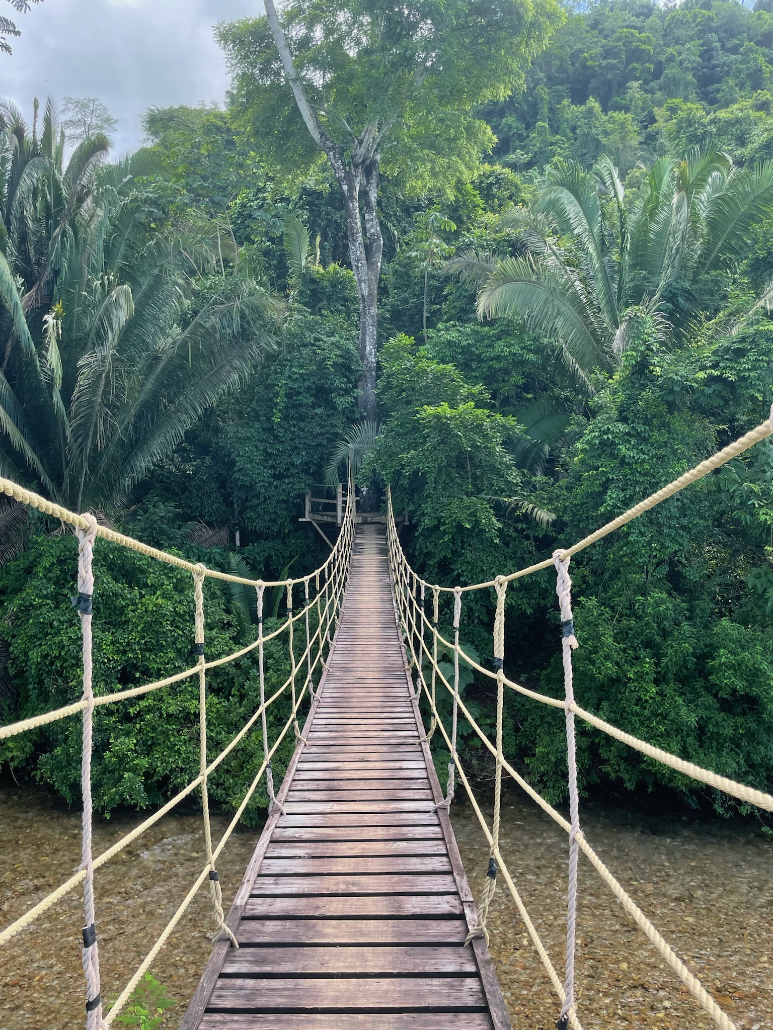 UN Tourism The Rainforest Lodge at Sleeping Giant Bridge