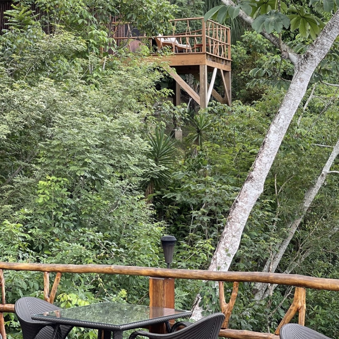 UN Tourism The Rainforest Lodge at Sleeping Giant Balconies