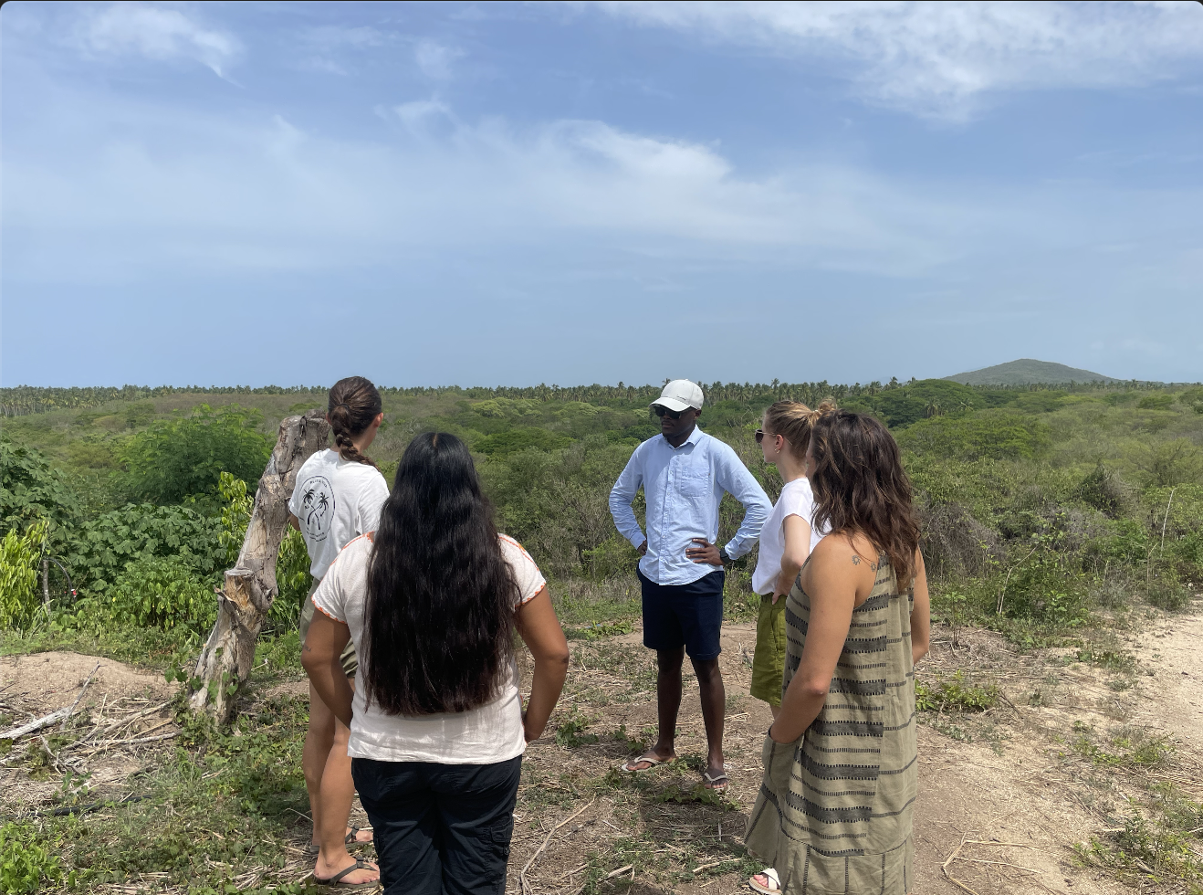 Fellows observing farming landscape