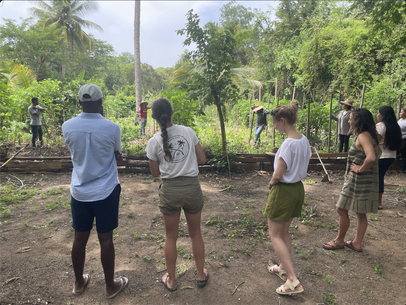 Fellows observing farming landscape2