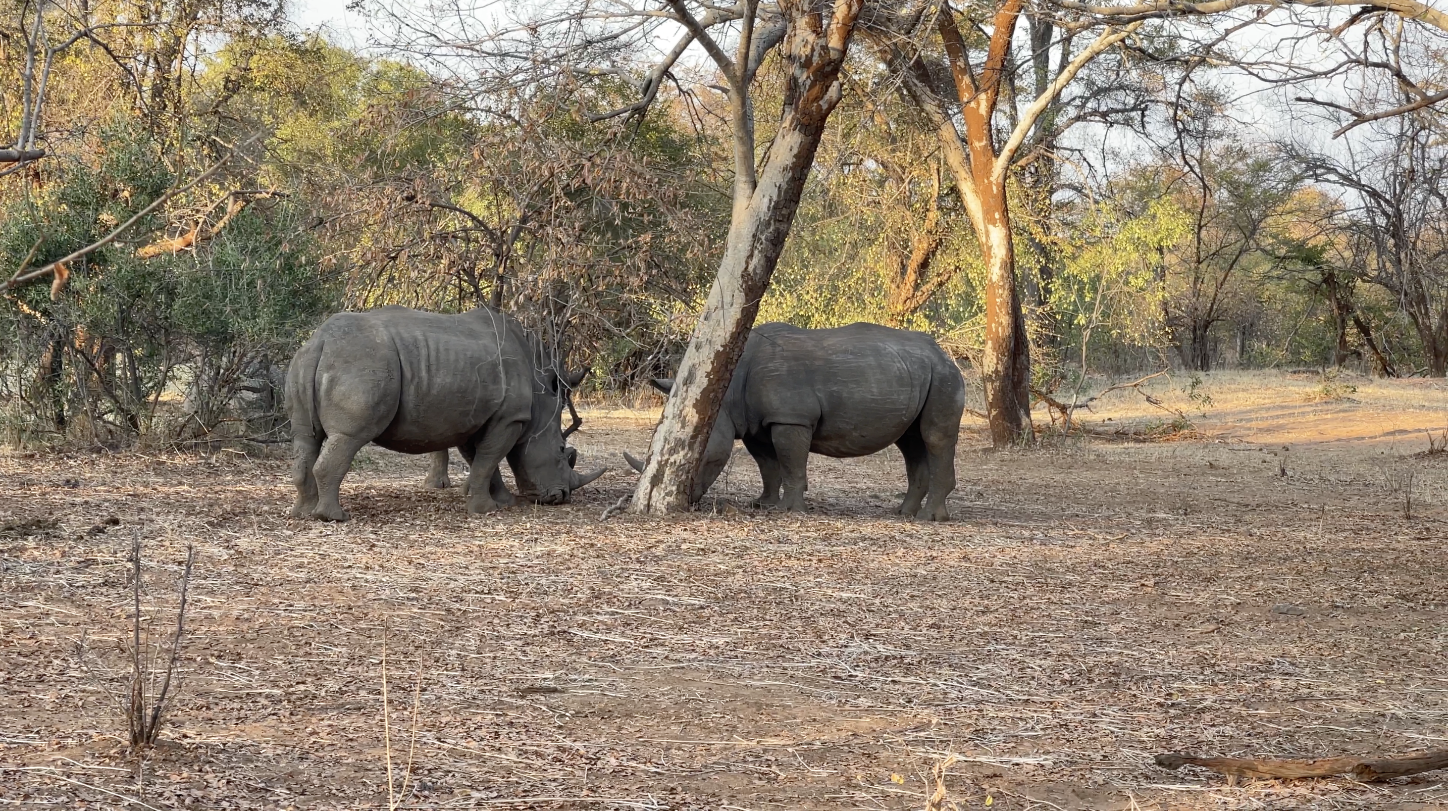 UN Tourism - Field Lab 2024 - African Bush Camps3