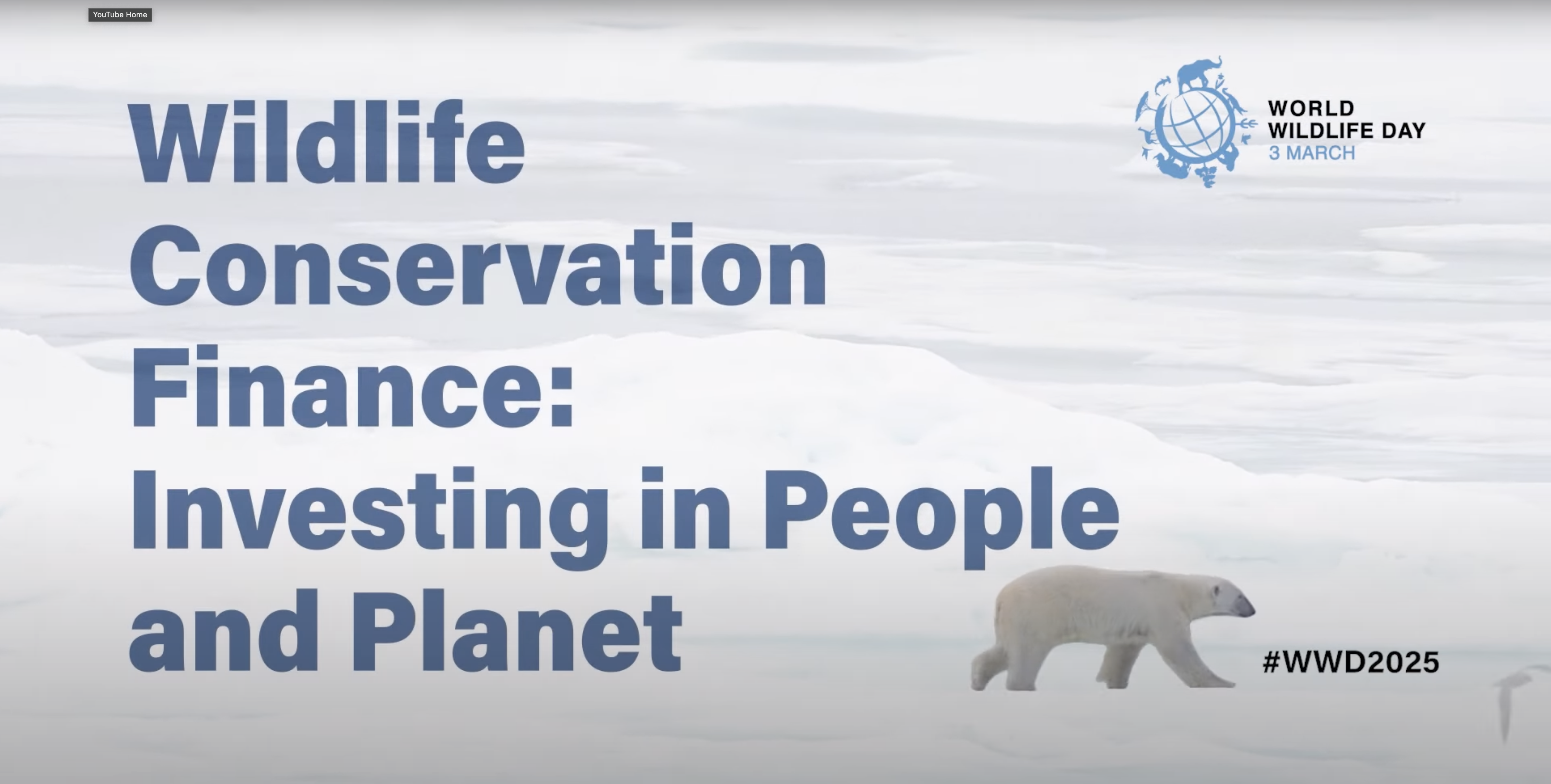 Wildlife Conservation Finance: Investing in People and Planet