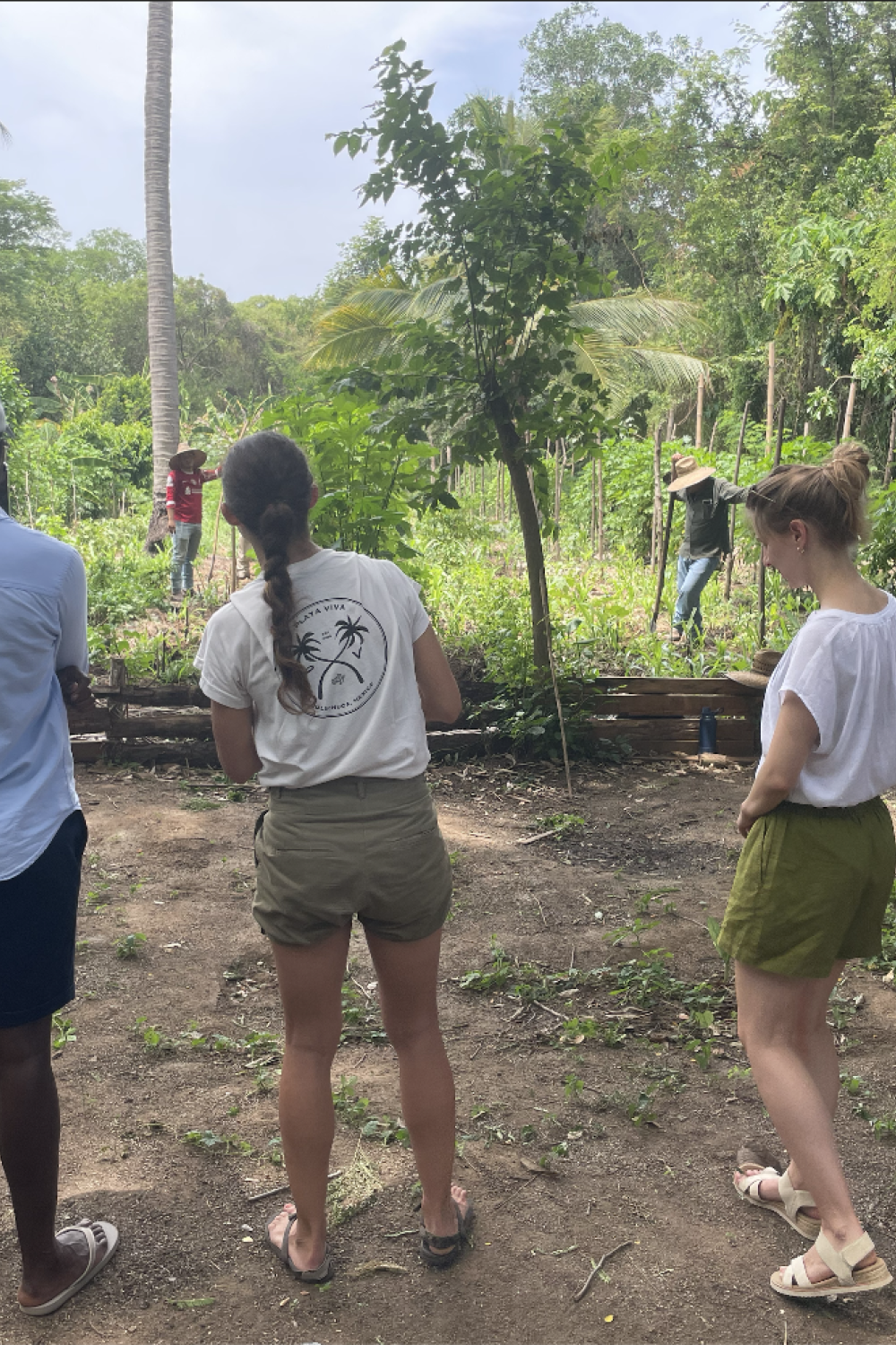 Fellows observing farming landscape2