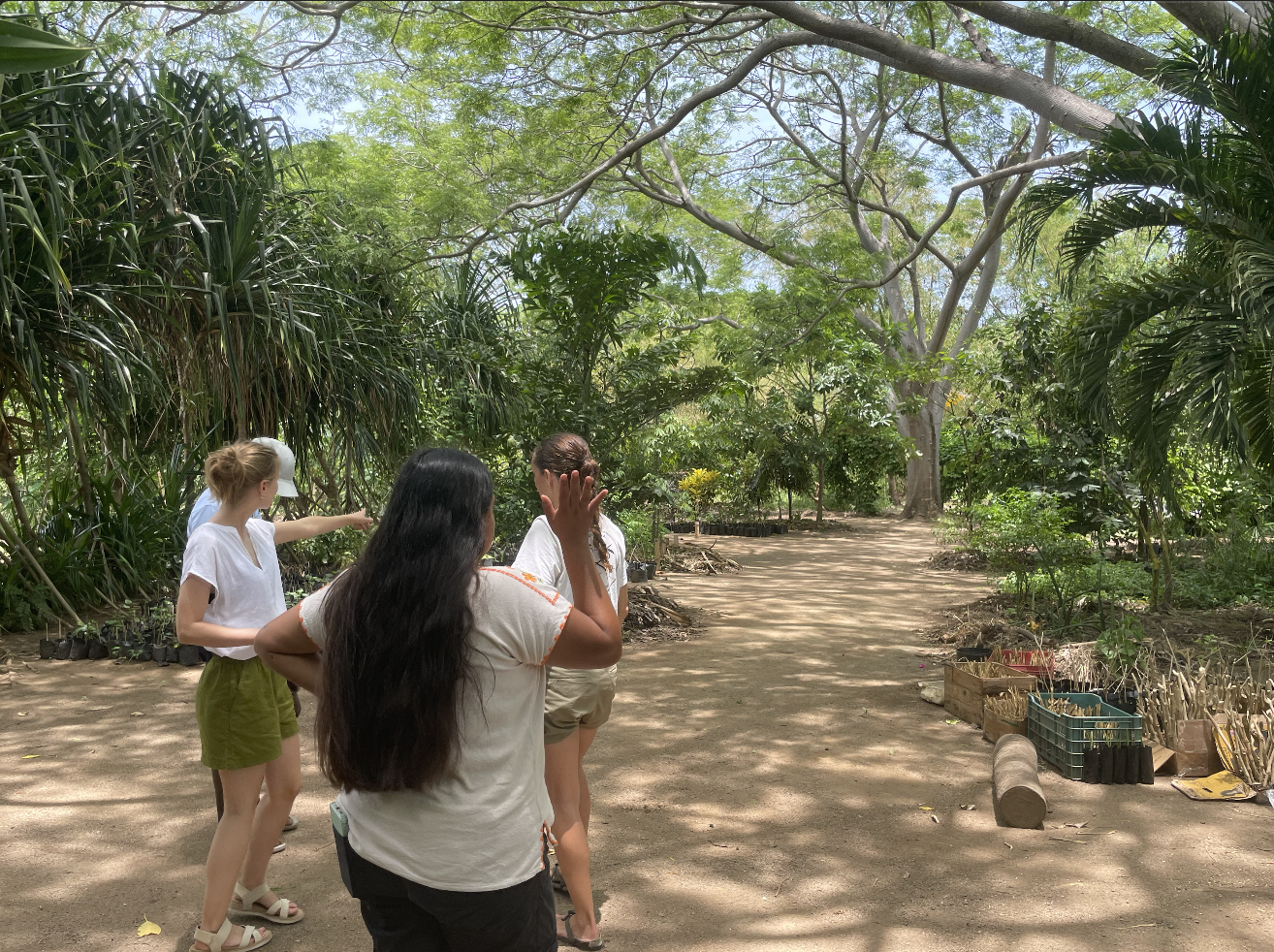 Fellows observing farming grounds