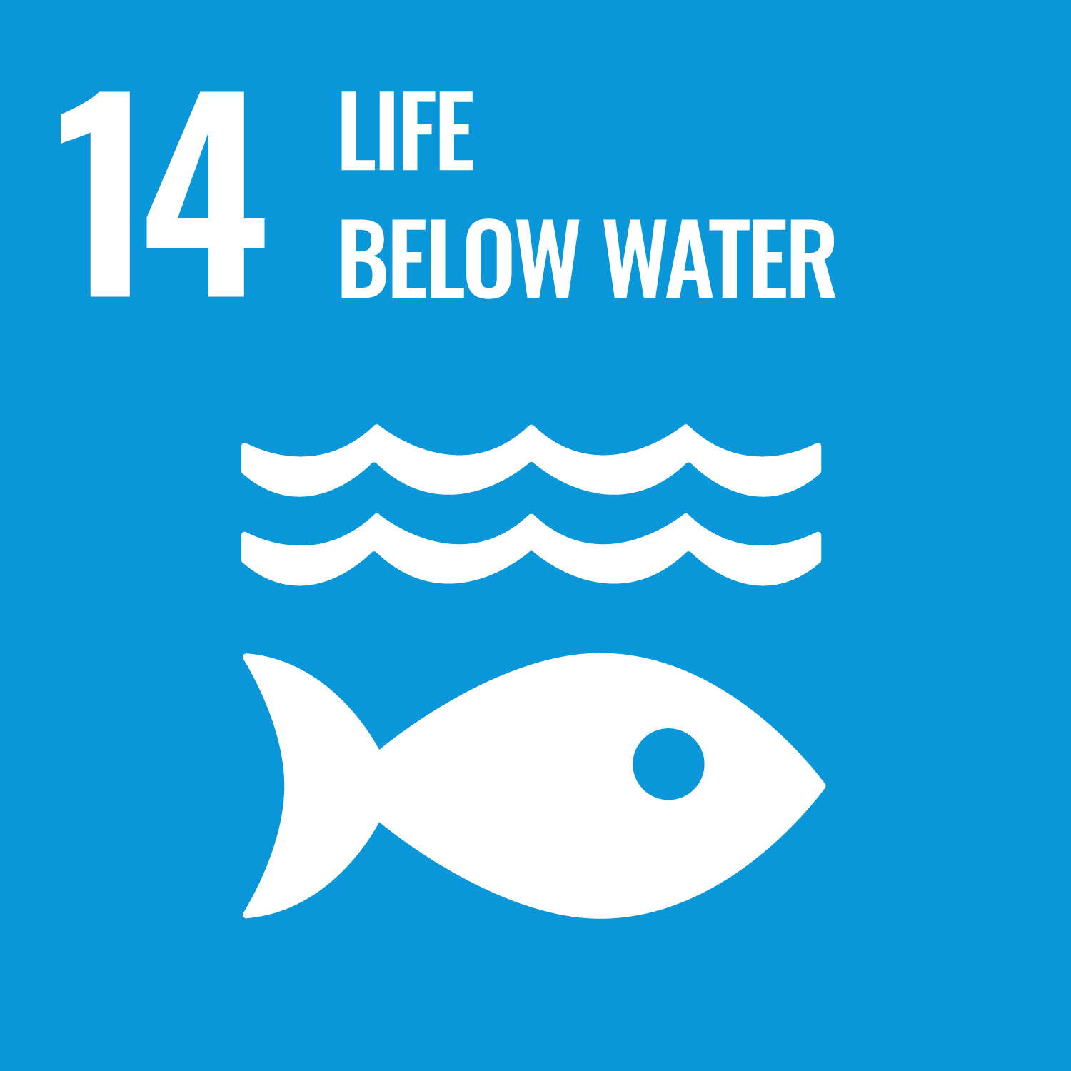 SDG Goal 14: Life Below Water