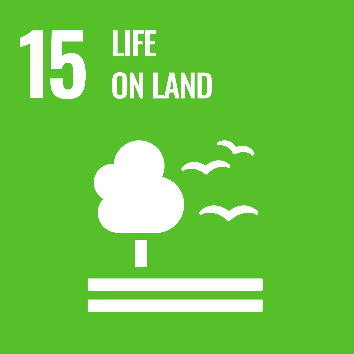 SDG Goal 15: Life on Land